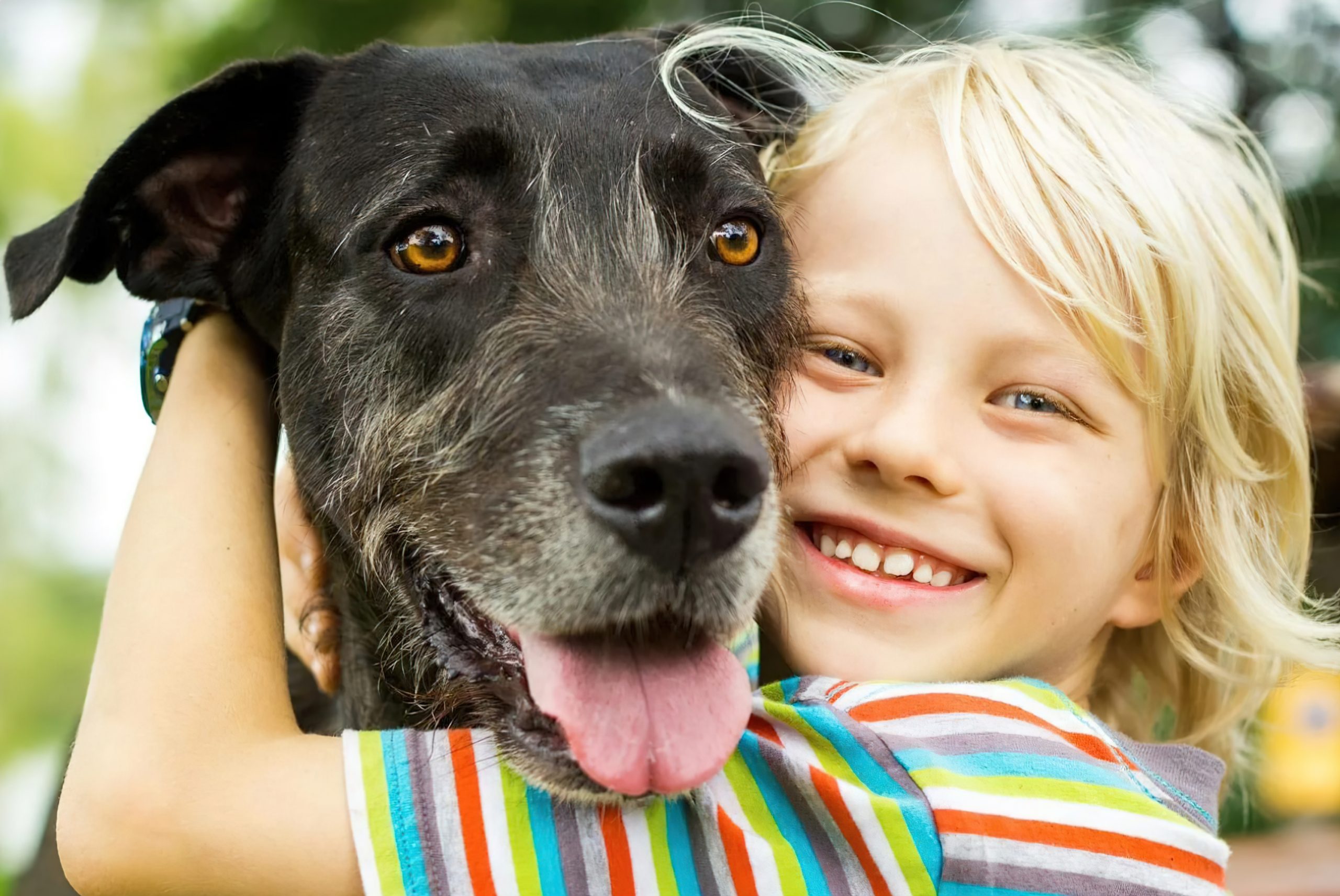 Keeping pets listen. Собака для детей. Домашние животные для детей. Люди и животные. Люди с домашними животными.